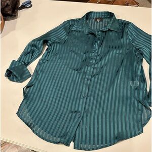 VICI Sheer Green Stripe Button Down Long Sleeve Blouse Size Small